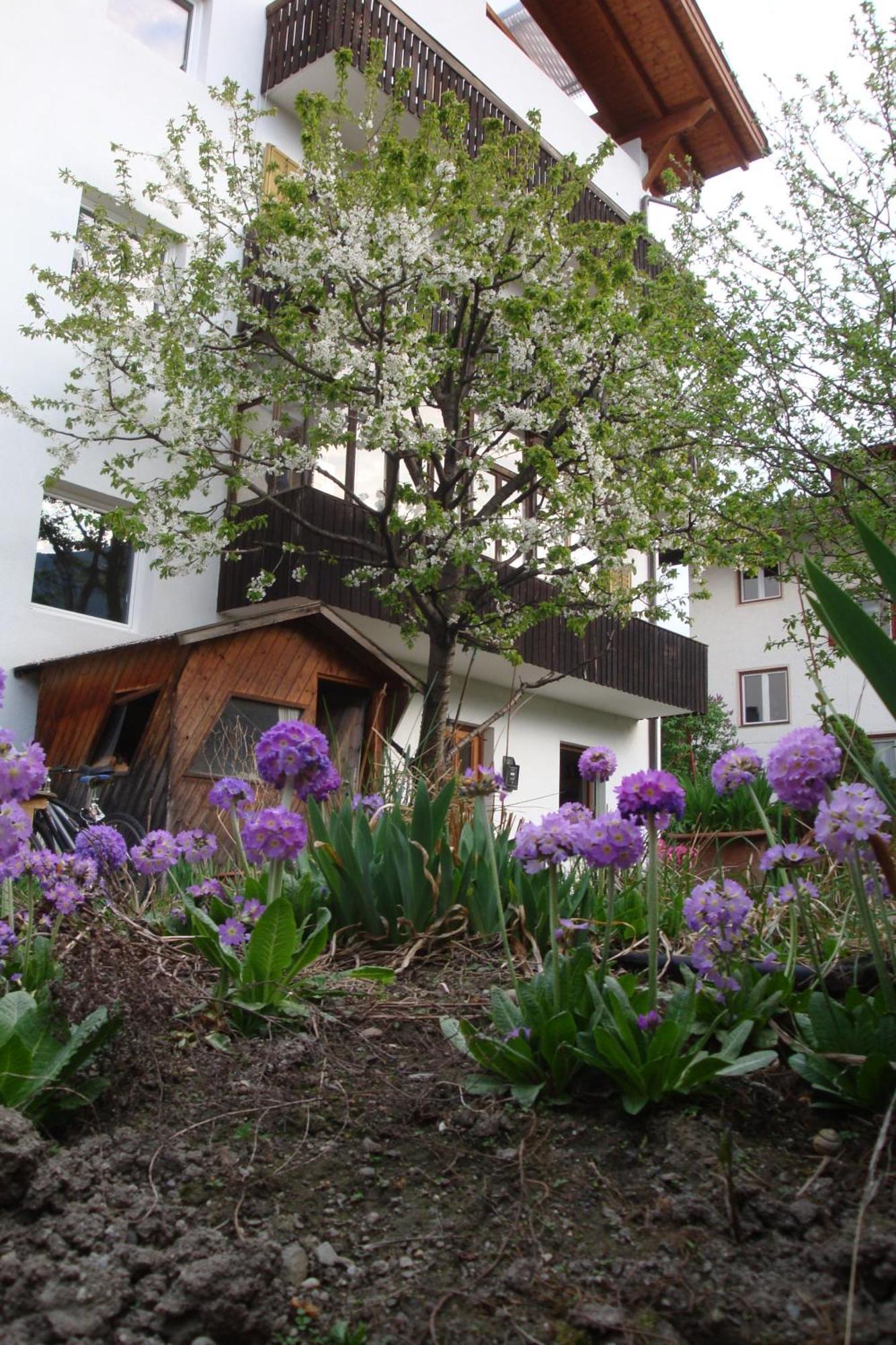 Residence Hofer Bressanone Exterior foto